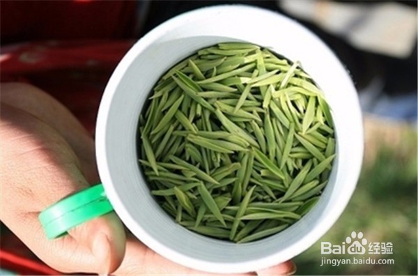 绿茶有哪些营养,对人体有哪些益处