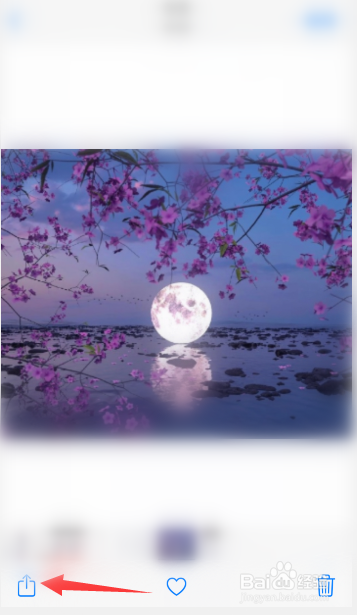 苹果手机怎么拷贝照片