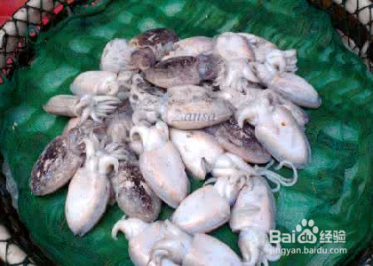 自制清汤火锅底