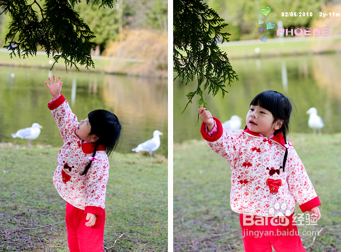 棒棒糖女孩和温哥华绿头鸭(组图)