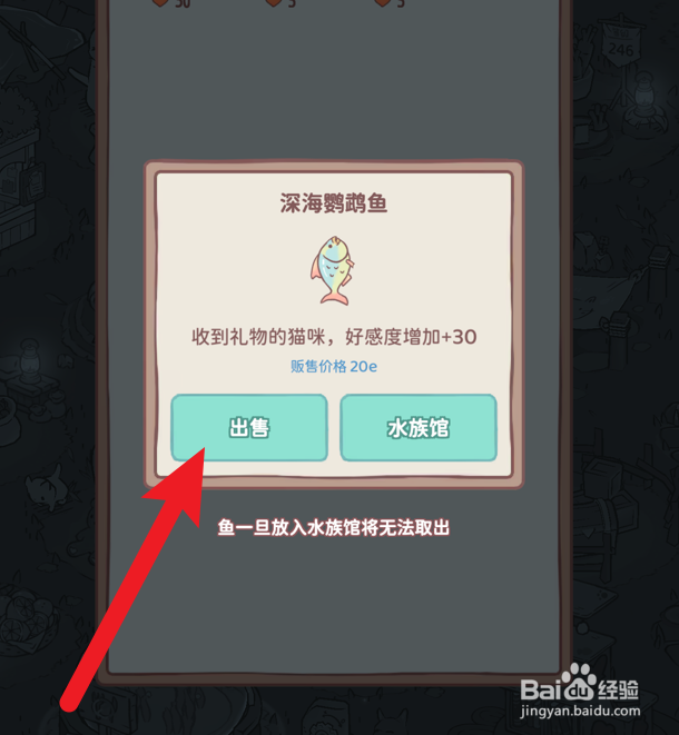 猫咪和汤怎么出售深海鹦鹉鱼