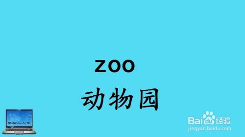 动物园相关英语单词 百度经验