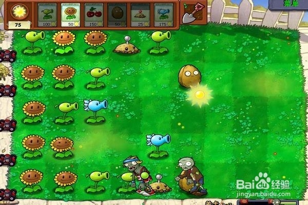 植物大战僵尸通全关的攻略。（七）