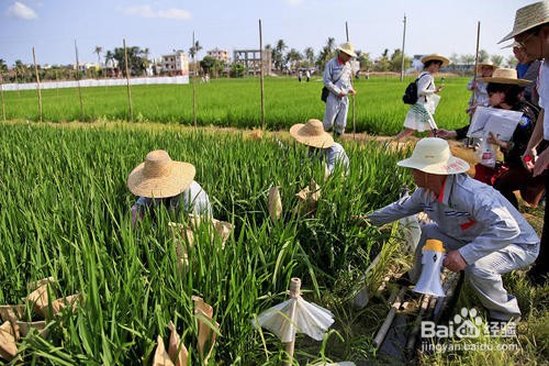 生物育种有哪些？