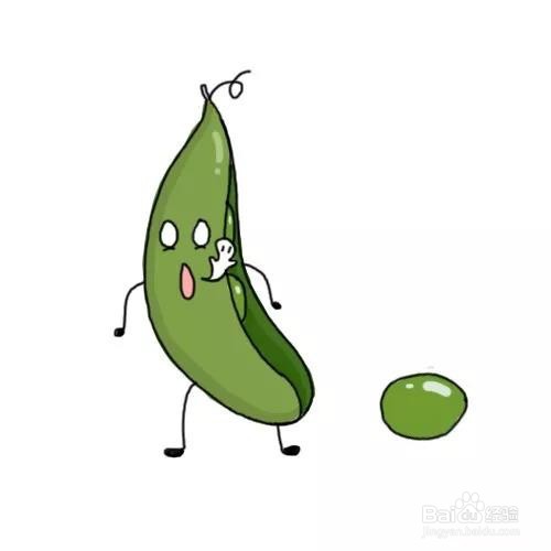 毛豆简笔画