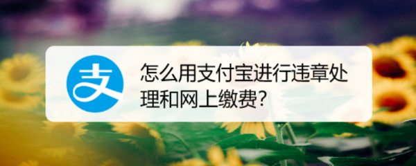 怎么用支付宝进行违章处理和网上缴费