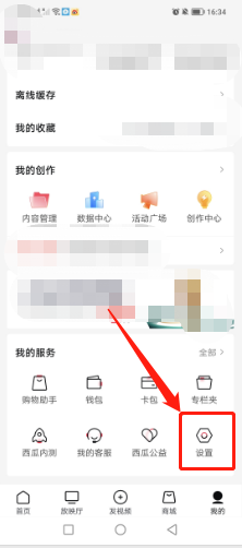 西瓜视频怎样设置字体大小