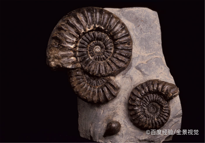 科学素养的重要性以及如何提升自己的科学素养