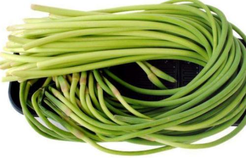 蒜苔和鲜蘑可不可以一起炒吃