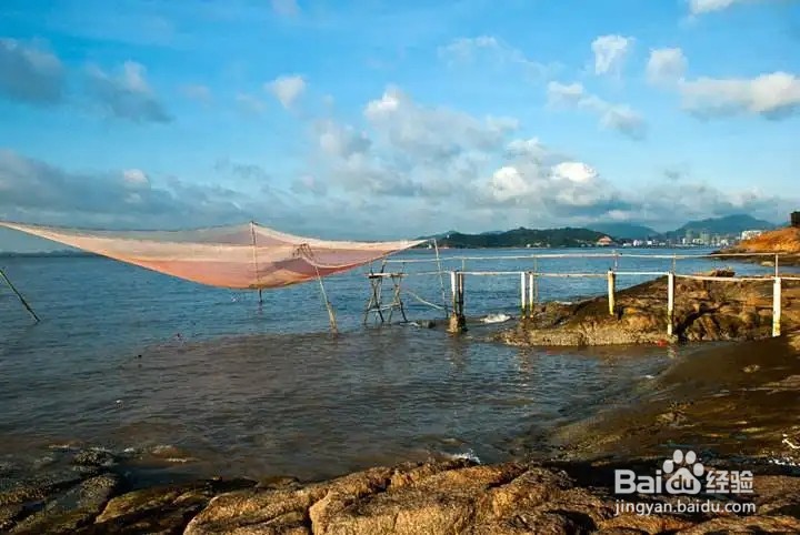 我国人工修复面积最大红树林位于哪一自然保护区