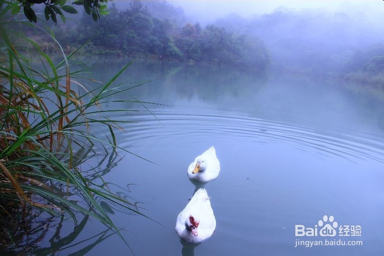 邂逅观音山开启国庆美食之旅