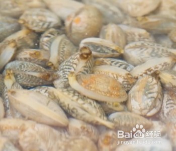 如何做花甲粉丝