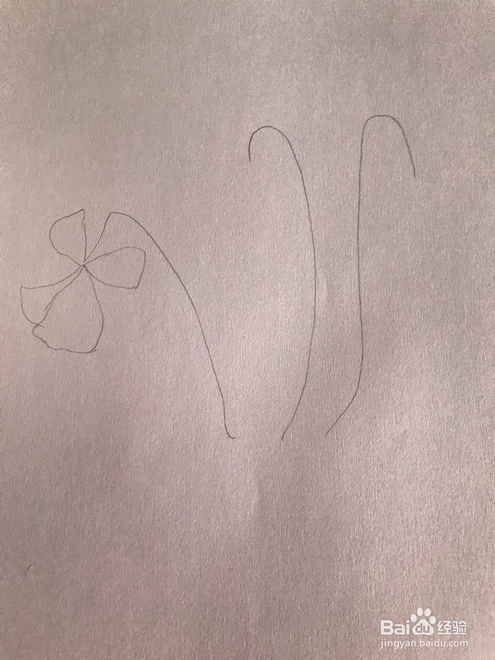 画一棵简易紫罗兰