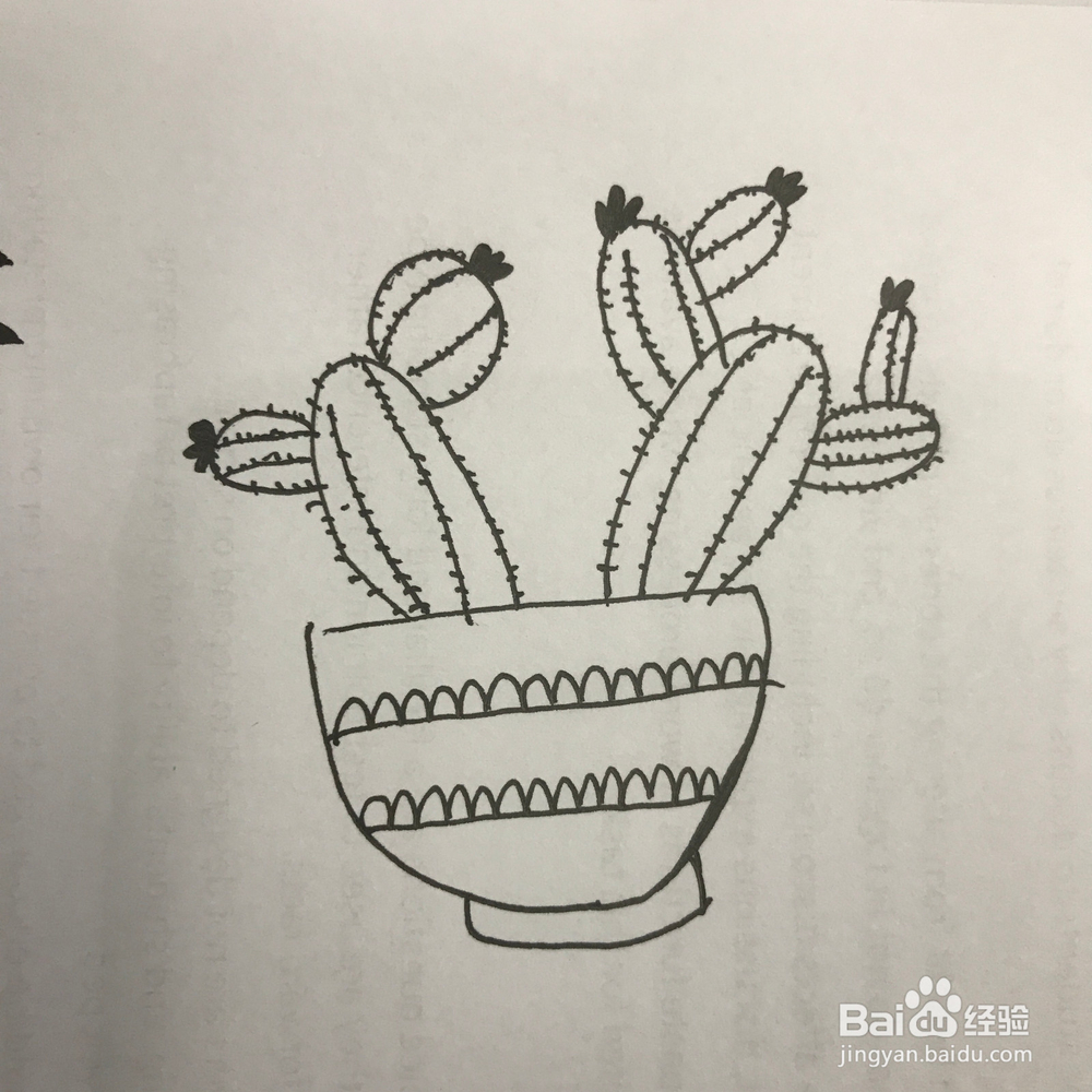 怎样画清新仙人掌简笔画