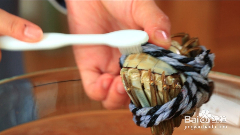 一年一度螃蟹季,配它吃才最正宗!