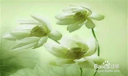 让自己满满都是正能量