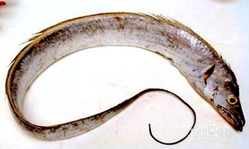 春节应该怎样办年货？