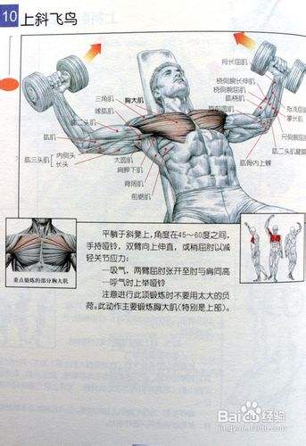 男士健身方法