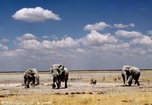 坦桑尼亚旅游攻略介绍