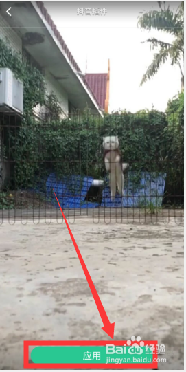 如何将抖音的小视频设置为手机动态壁纸