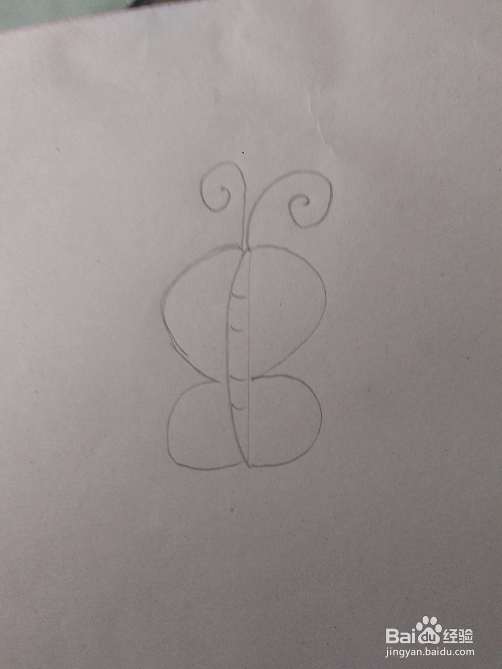 用字母B能画一个什么小动物