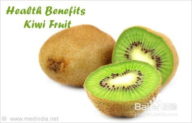 猴年话说“植物猴”