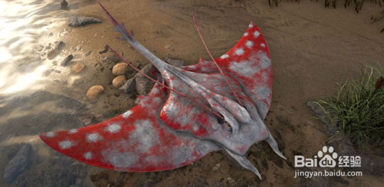 方舟蝠鲼怎么驯服？