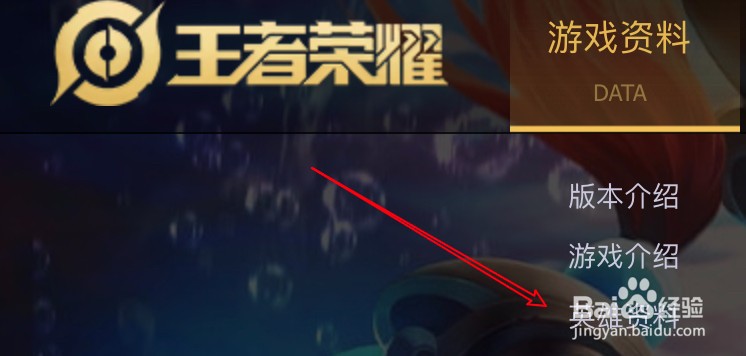 王者荣耀大乔长什么样