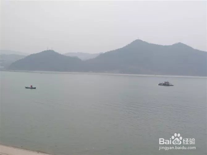 在难熬的日子里来一份心灵鸡汤