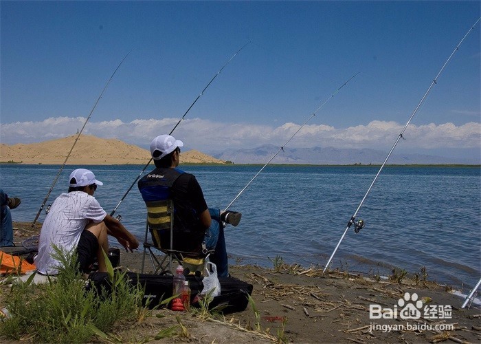 如何提高钓鱼技术