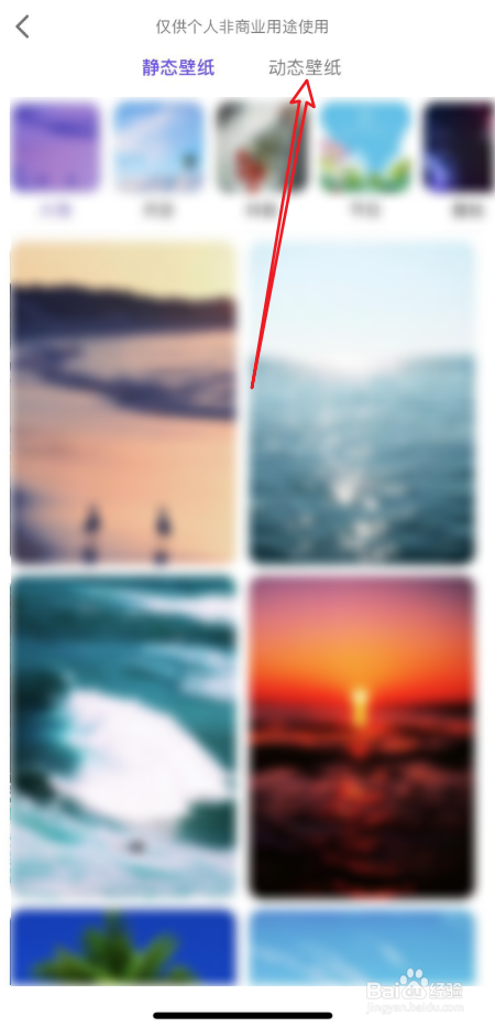 动感墙纸手机壁纸图片