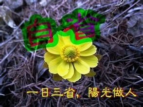 怎样克服虚荣心？