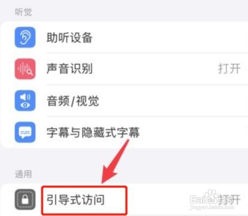 苹果手机引导式访问功能在哪里开启