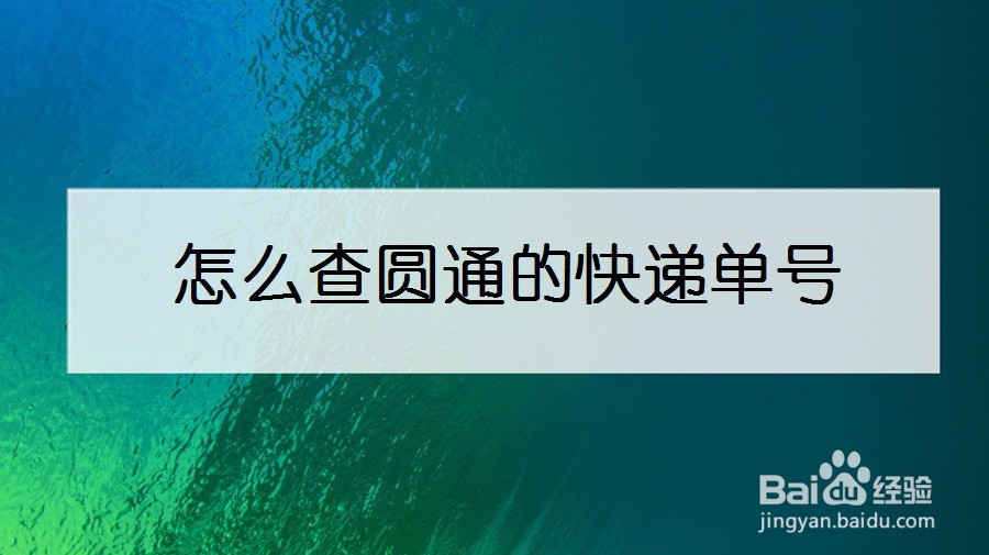 怎么查圆通的快递单号