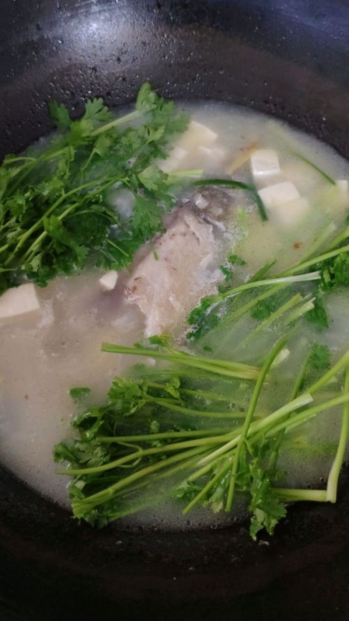 芫荽豆腐鲫鱼汤