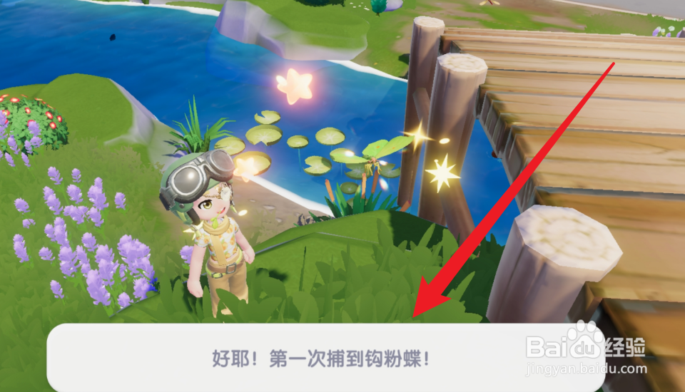心动小镇怎么捕捉钩粉蝶