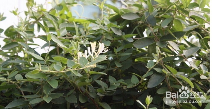 顽固湿疹我来支招