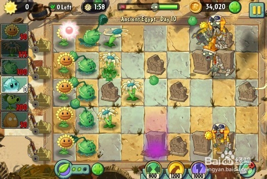 植物大战僵尸2（金字塔）第十关3星图文过关攻略