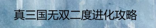 真三国无双二度进化攻略