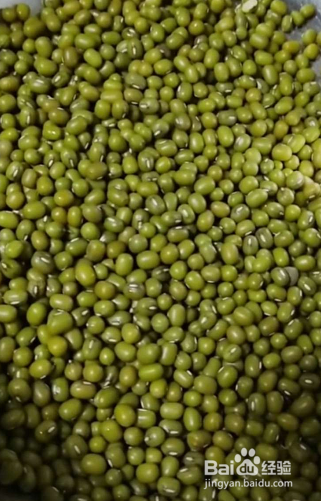 绿豆芽怎么生粗壮又白