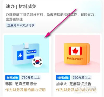 支付宝怎么申请芝麻签证报告