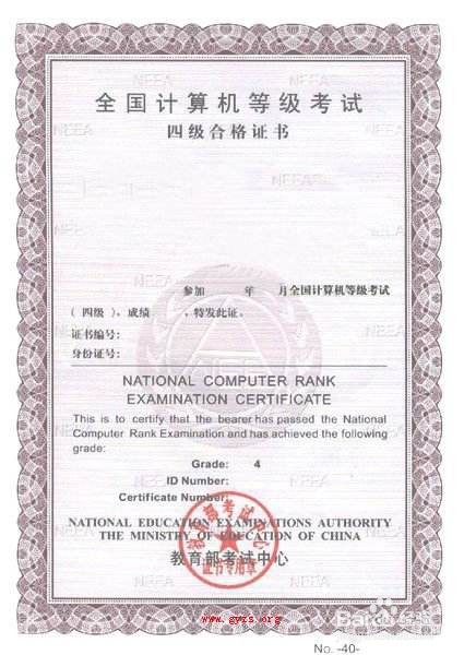 计算机二级水平怎么填