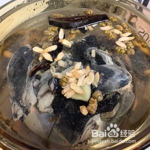 印度椰子花旗参汤