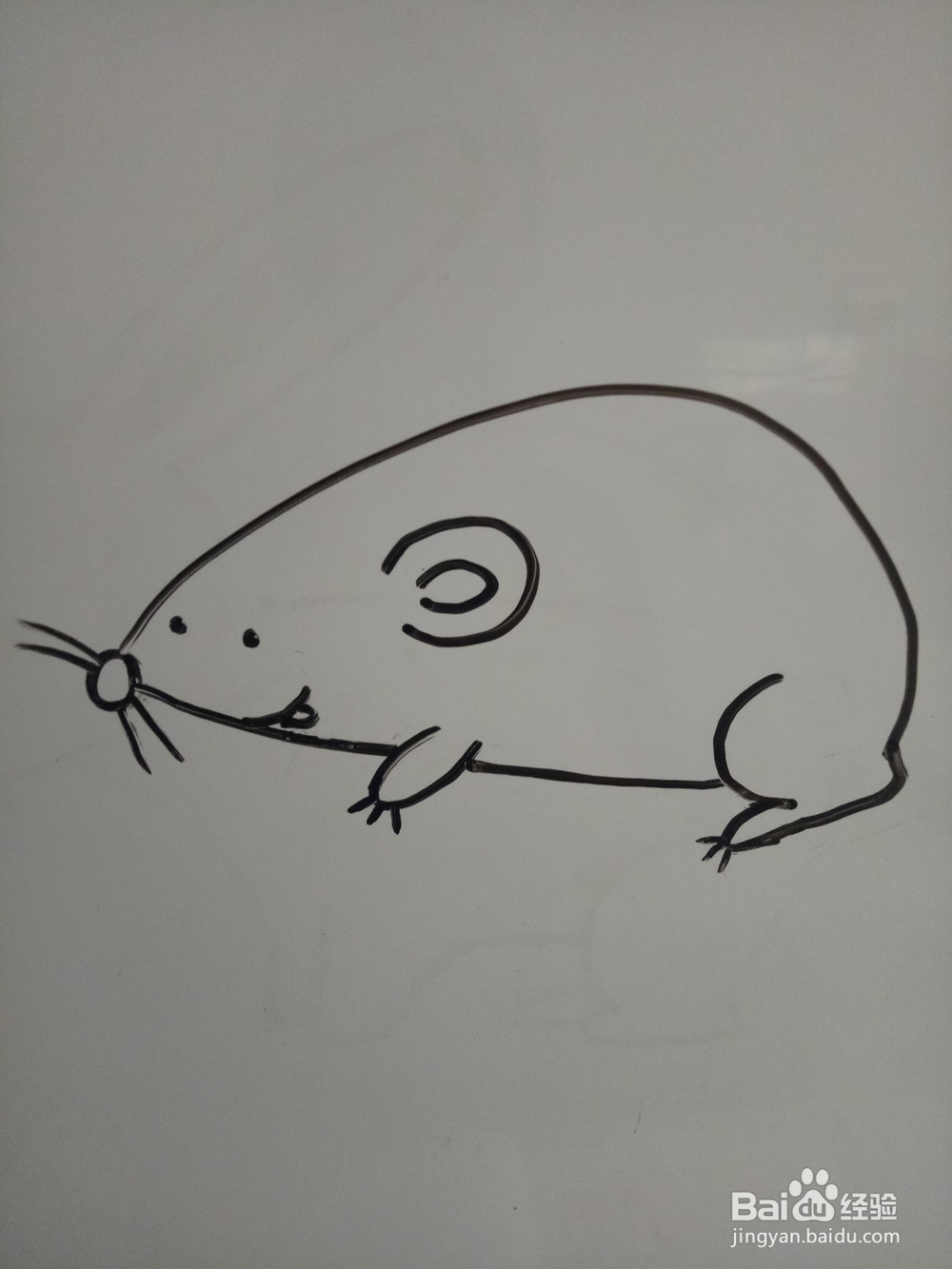 简单的画只小老鼠