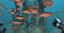 深海迷航海皇孵化酶材料在哪