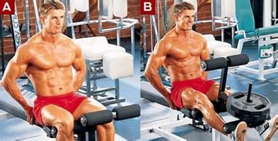 肌肉男锻炼计划[3]如何雕塑完美股二头肌