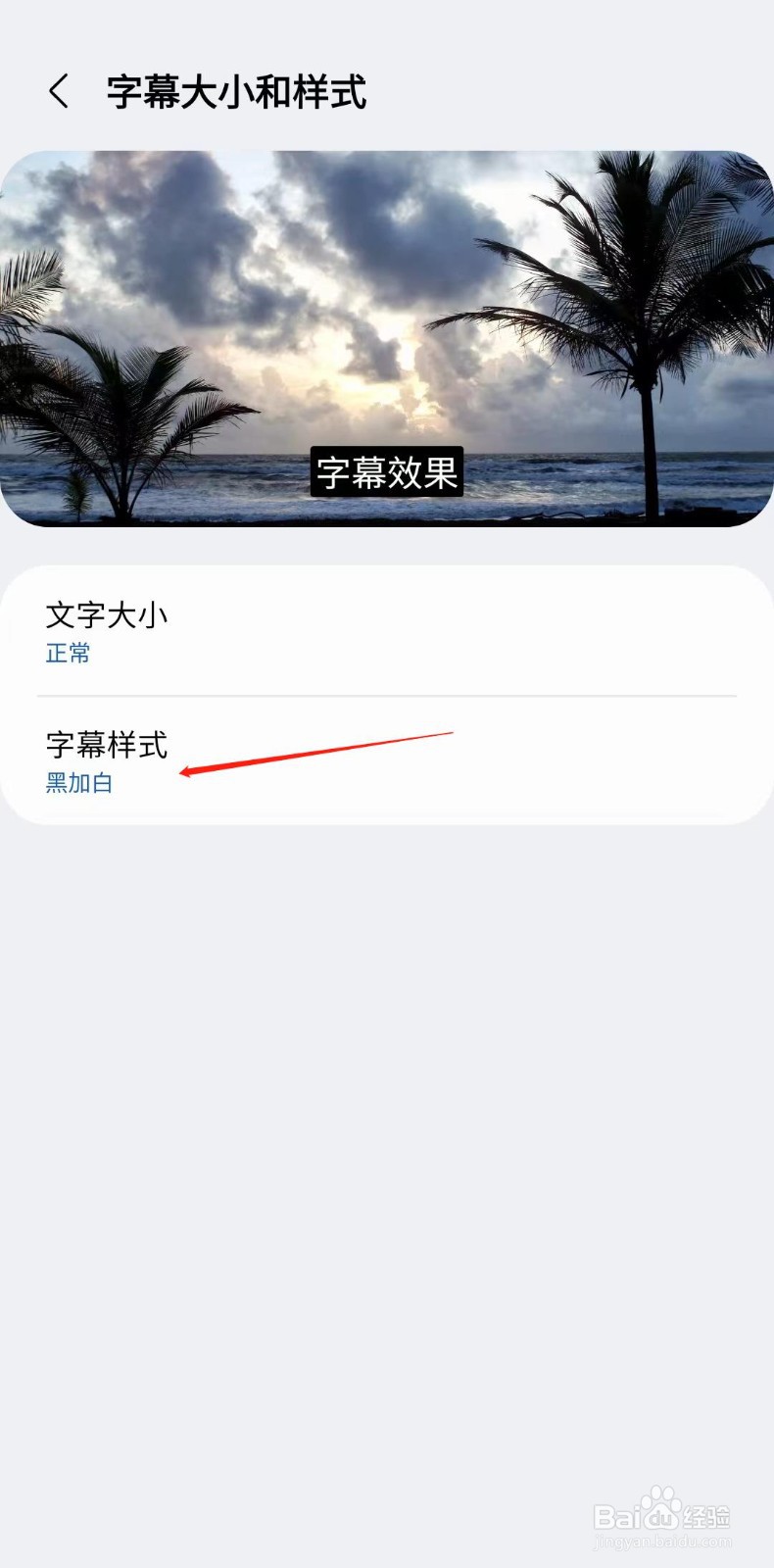 Chrome浏览器怎样设置字幕样式