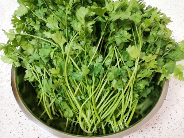 香菜大肉馅饺子