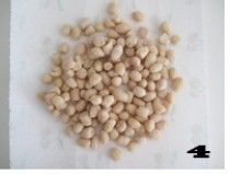 节日佐酒小食麻辣花生