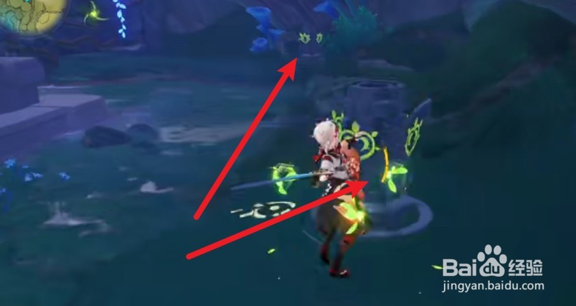 原神须弥大世界伞盖的荫蔽秘境解密